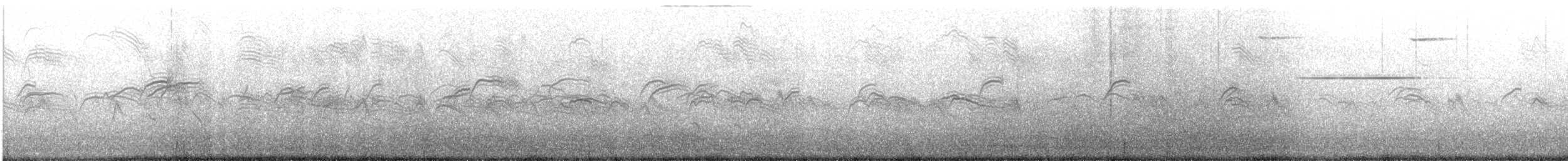 Pallid Swift - ML645622404