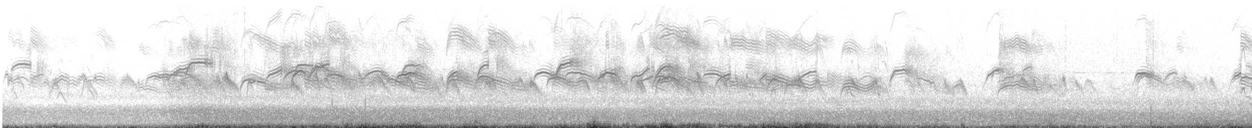 Pallid Swift - ML645622405