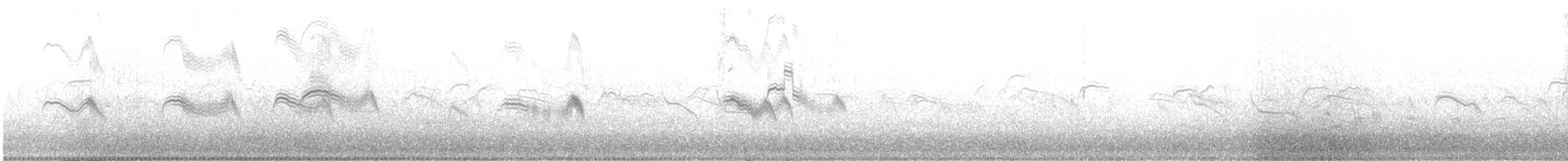 Pallid Swift - ML645622406