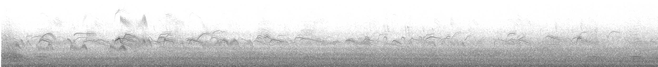 Boz Ebabil - ML645622435