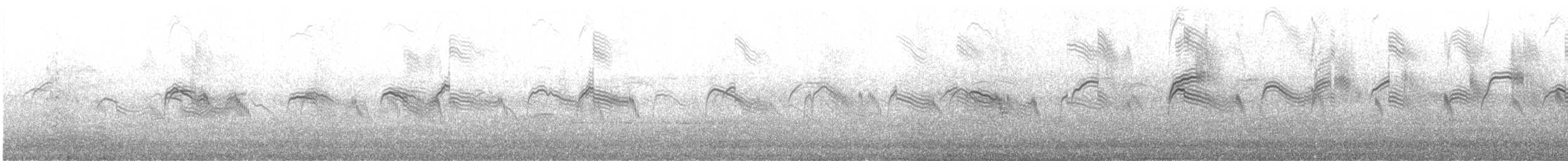 Boz Ebabil - ML645622436