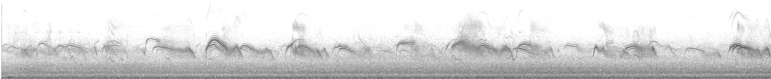 Boz Ebabil - ML645622464