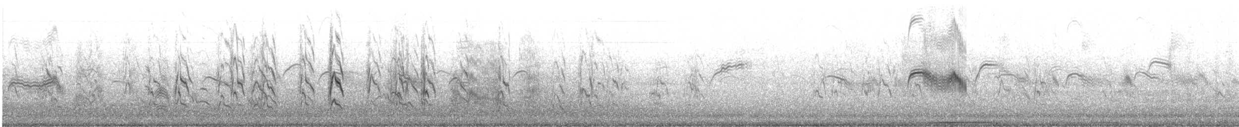 Boz Ebabil - ML645622466