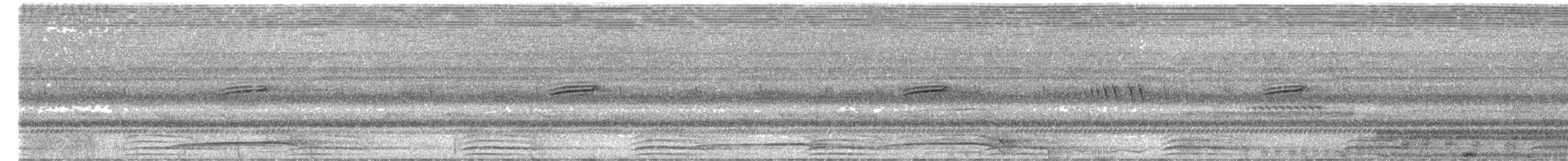 Akun Puhusu - ML645622744