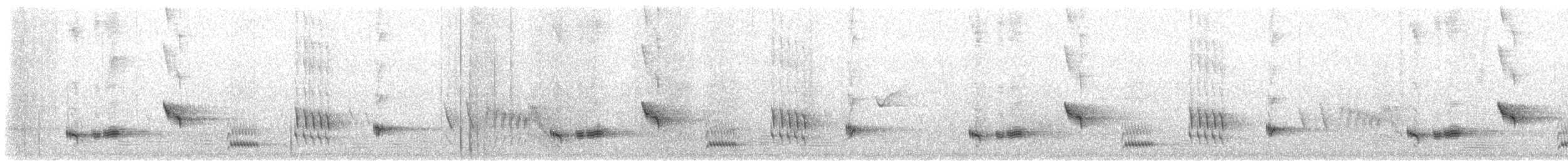 Kara Boğazlı Kamçıkuşu (leucogaster/lashmari) - ML645623486