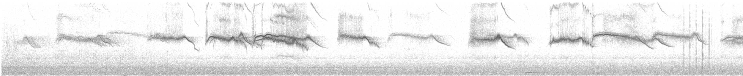 Plain Swift - ML645623783