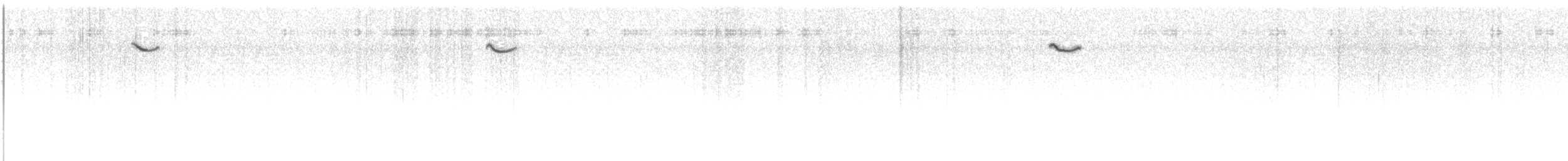 Short-tailed Grasswren - ML645623925