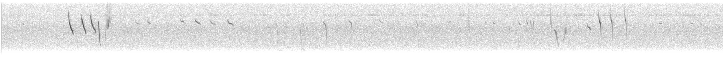 Thick-billed Grasswren - ML645624039