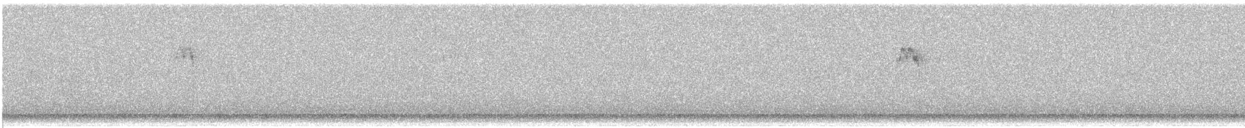 American Robin - ML645624432