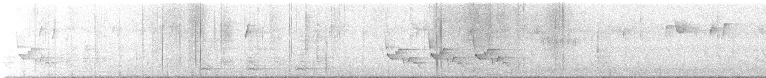 Common Raven - ML645624456