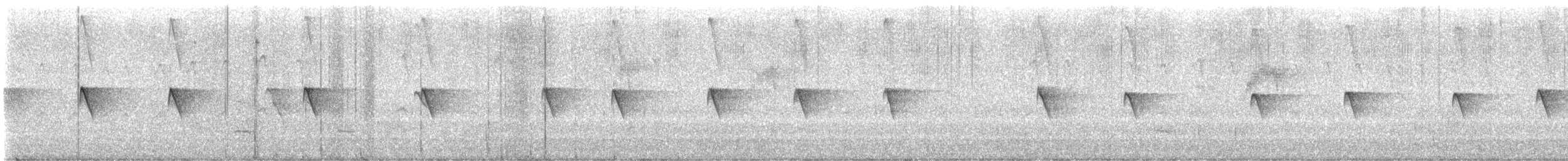 Black Phoebe - ML645624491