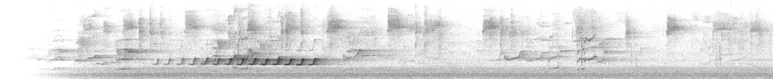 White-throated Treecreeper (White-throated) - ML645624785