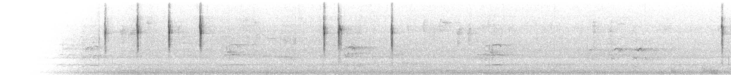 Striated Thornbill - ML645624878