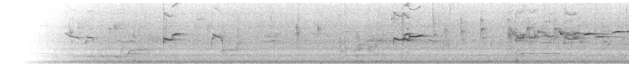 Varied Sittella (Black-capped) - ML645624907