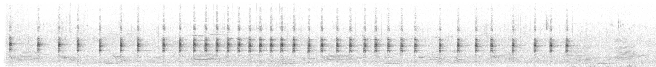 Lewin's Rail - ML645625829
