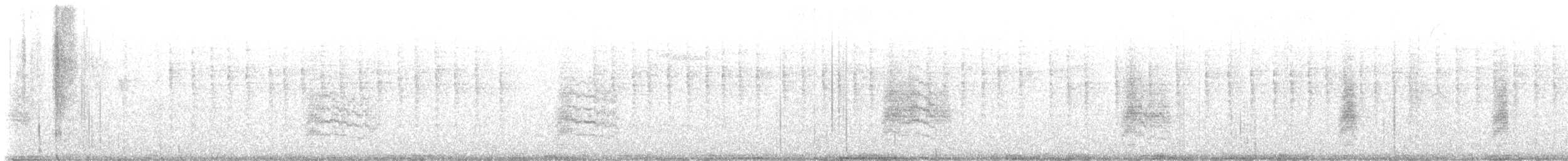 Chochín Criollo Norteño - ML645626019