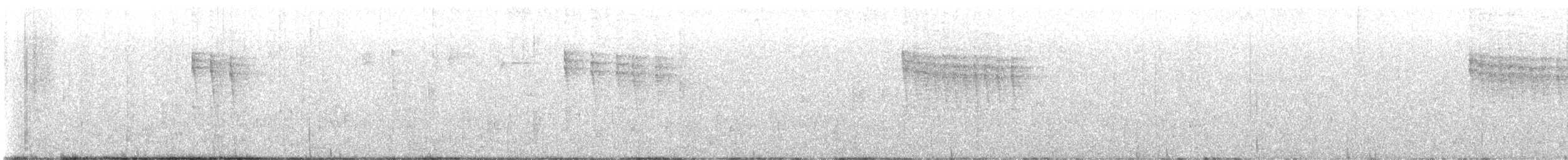 Pacific Wren - ML645626026