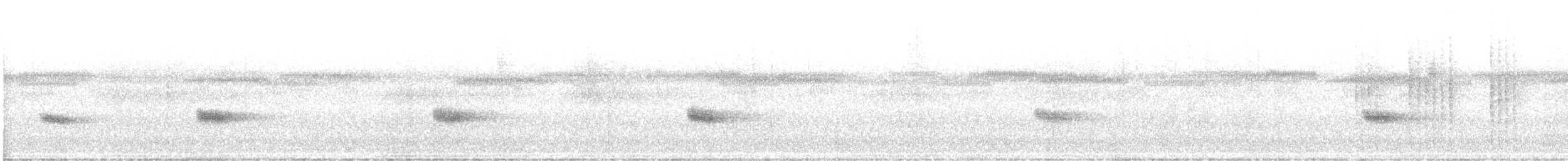 White-breasted Wood-Wren - ML645626230