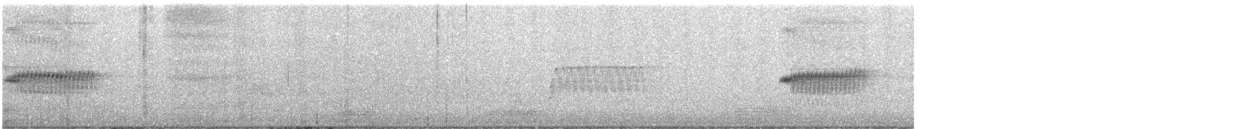 Пятнистый тохи - ML645626688