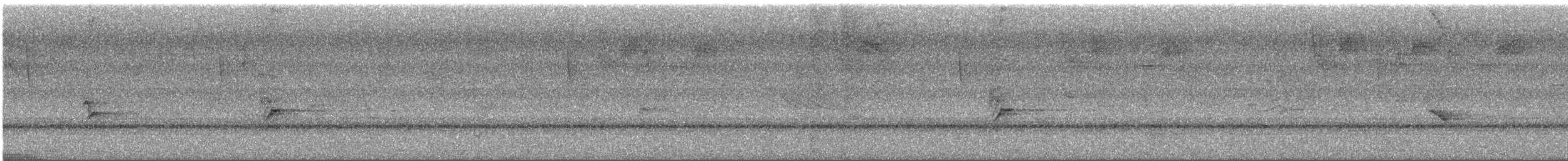 Гутурама узлісна - ML645626780