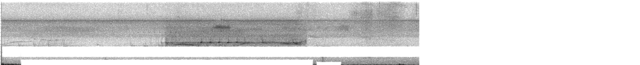 Bachman's Sparrow - ML645627064