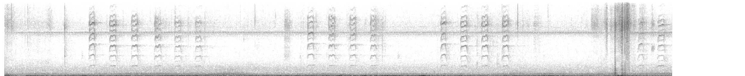 Gila Woodpecker - ML645627184