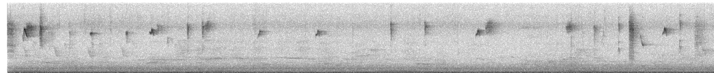 Brown Thornbill - ML645627459