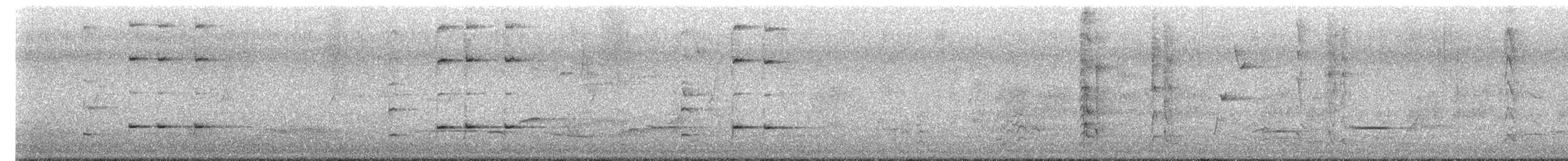 Crimson Rosella (Adelaide) - ML645627906