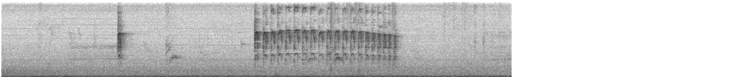 Downy Woodpecker - ML645628028