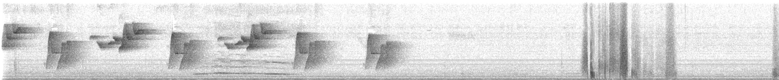 Cabanis's Wren - ML645628434