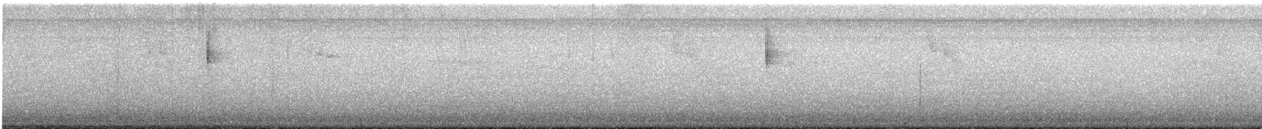 Orange-crowned Warbler - ML645628514