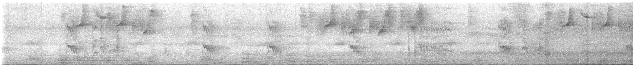 Boat-billed Flycatcher - ML645628756