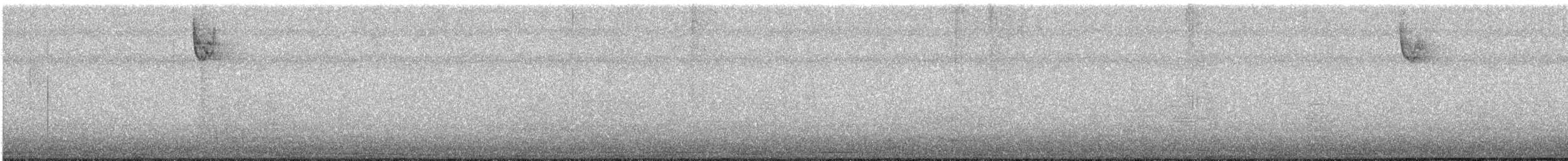 White-throated Sparrow - ML645628770