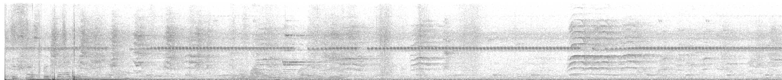 Barbudo Calderero - ML645628855