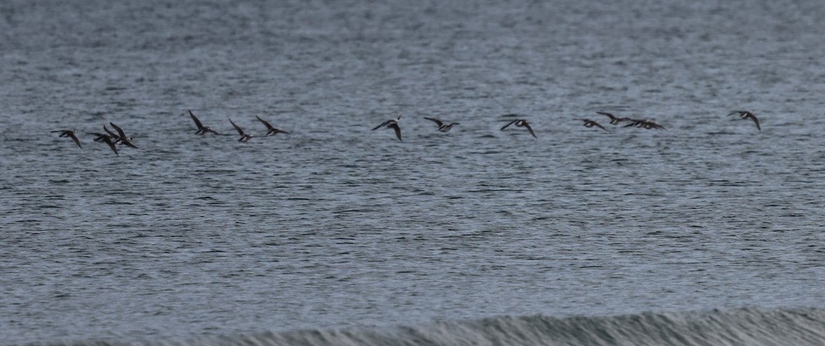 Izotz-ahatea - ML645629030