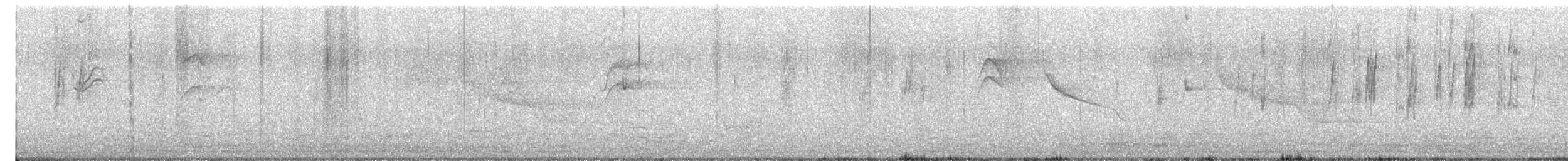 Cotorrita de Piura - ML645629547