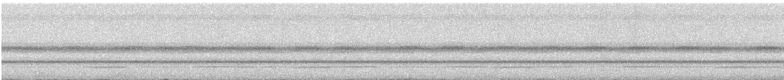 キンバネモリゲラ - ML645629654