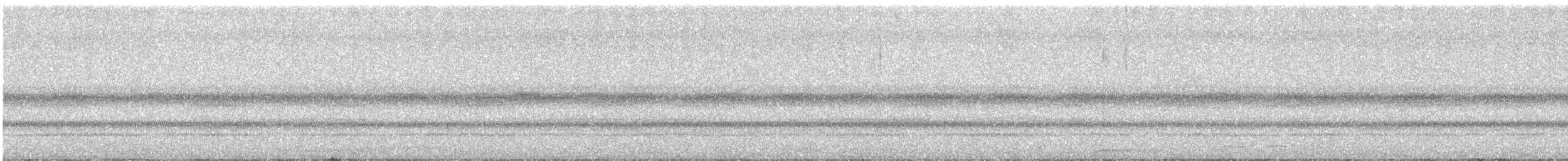 キンバネモリゲラ - ML645629655