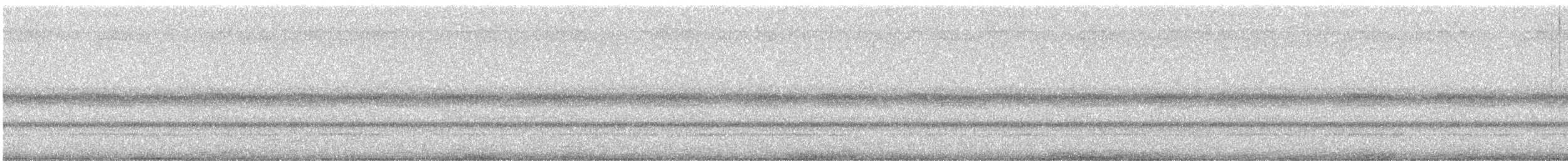 キンバネモリゲラ - ML645629656