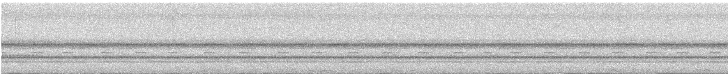 キンバネモリゲラ - ML645629658