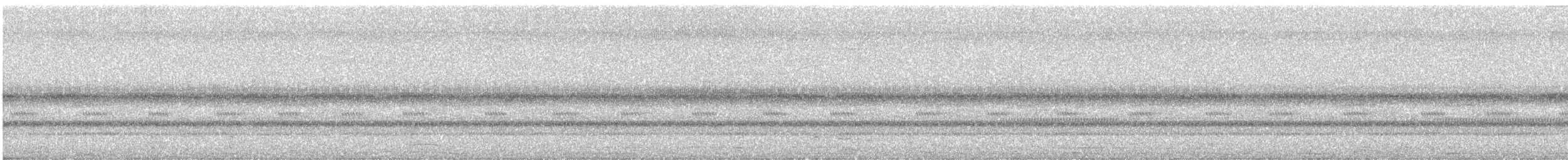 キンバネモリゲラ - ML645629660