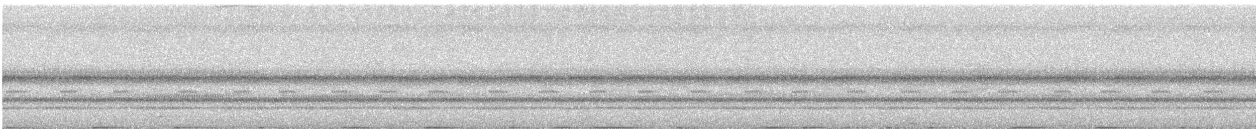 キンバネモリゲラ - ML645629661