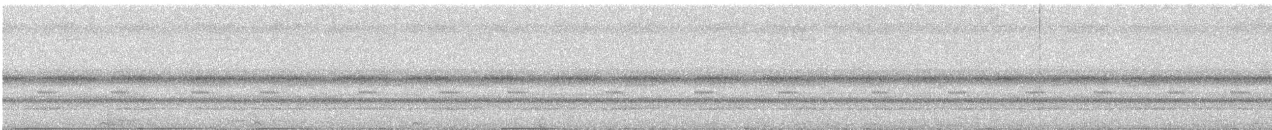 キンバネモリゲラ - ML645629662