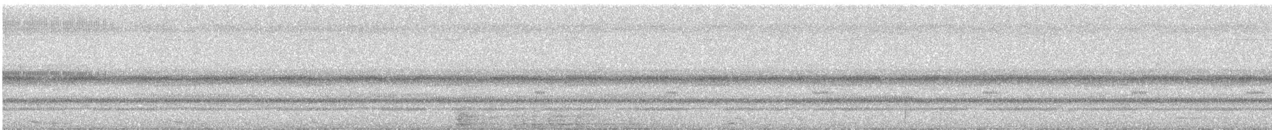 キンバネモリゲラ - ML645629663