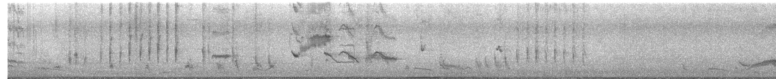 クロヒゲマネシツグミ - ML645629693