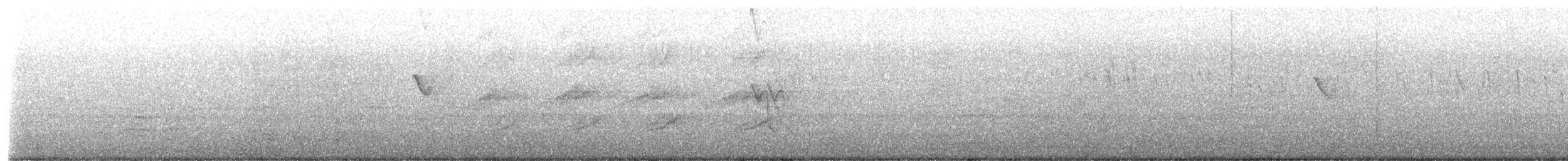 Chimney Swift - ML645629961