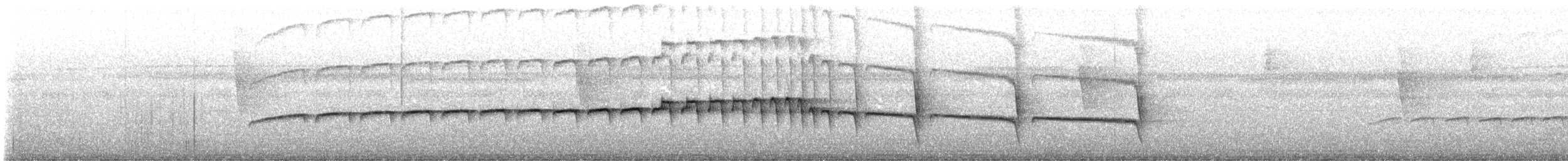 Ocellated Antbird - ML645630431