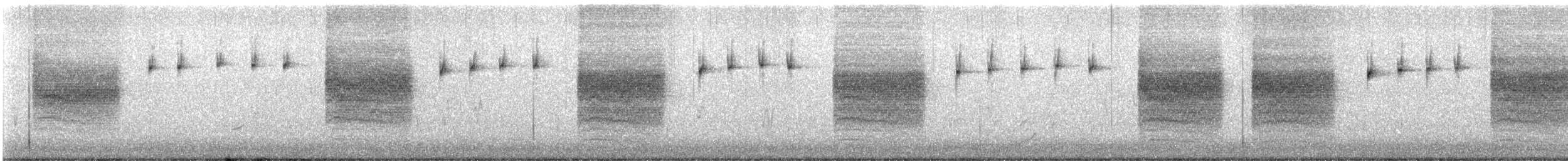 Black-tailed Gnatcatcher - ML645630554