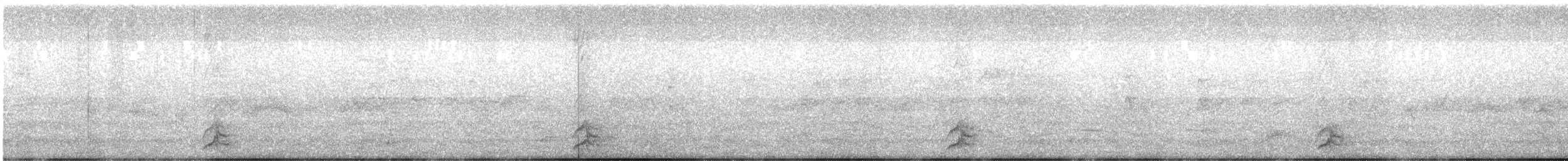 Noisy Friarbird - ML645630842