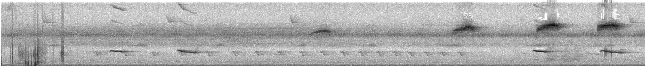 Yellow-olive Flatbill - ML645630891